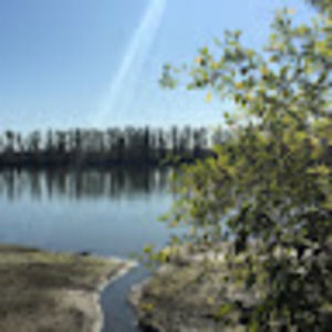 Lizzie and her girls